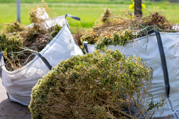 Best Furniture Removal Near Me  in Minor, AL